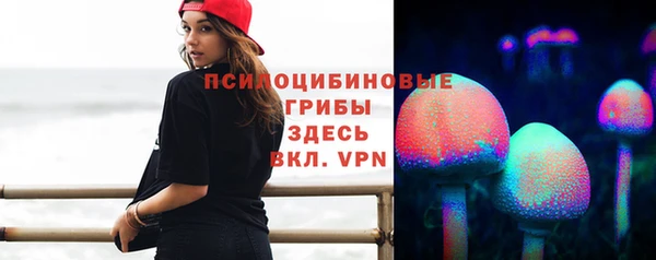дурь Бородино