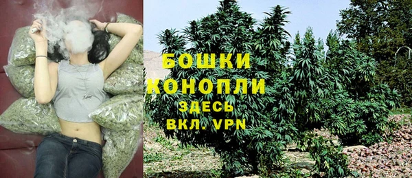 дурь Бородино