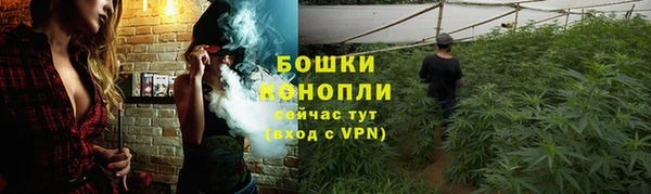 spice Бронницы