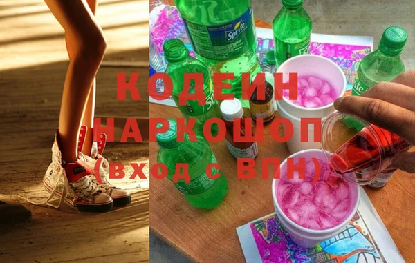 дурь Бородино