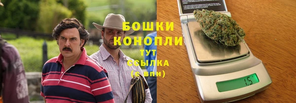 дурь Бородино