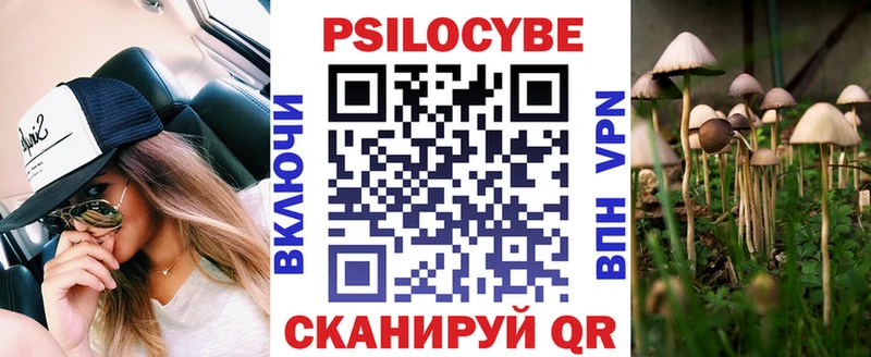 Купить где  Аркадак  Галлюциногенные грибы прущие грибы 
